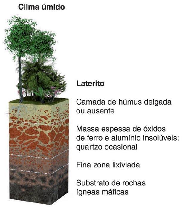 Ilustrações: Divanzir Padilha/Luis Moura Clima e a formação do solo PRESS, Frank et al.