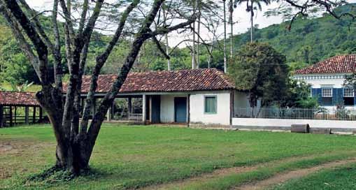 Desde a entrada, um grande pomar à direita se estende na lateral do terreno, seguindo em direção aos fundos da casa-sede.