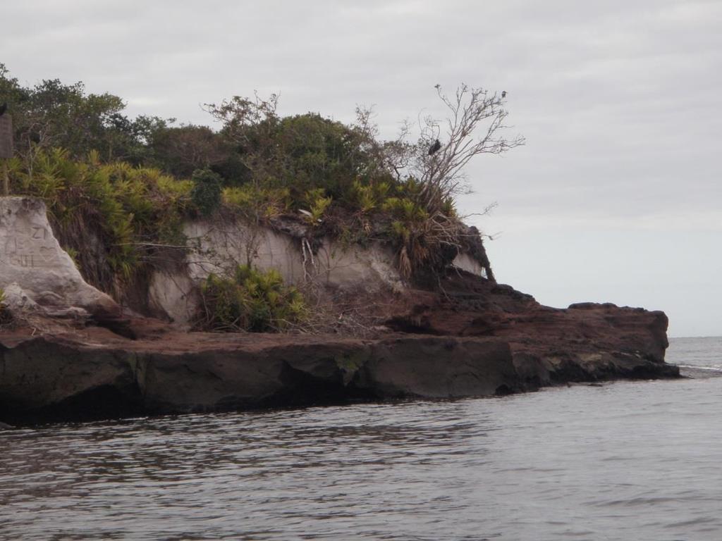 Erosão Costeira na Ilha Comprida - principalmente Causas Naturais: Elevação do NRM Dinâmica de Circulação Costeira