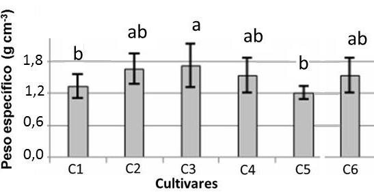 Peso específico (g cm -3 ) A Peso específico (g cm -3 ) B Figura 2. Valor médio da Massa especifica (g cm -3 ) do: grão úmido (A) e grão seco (B).