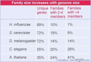 genes deste organismo Grande parte dos genes são