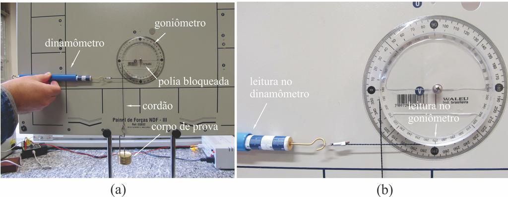 Substituindo o valor calculado de m na equação 7, calcule o valor de k escolhendo, por exemplo, o ponto arbitrário (T 1, β 1 ) na reta ajustada. 12.