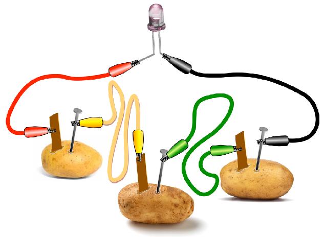 Fornecimento de corrente 3 batatas fornecem pelo