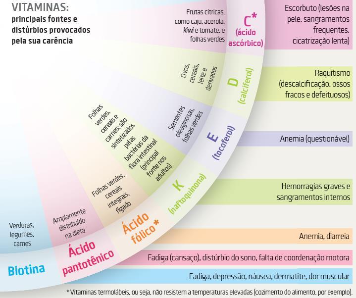 Por que nos alimentamos?