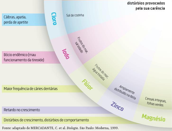 Por que nos alimentamos?