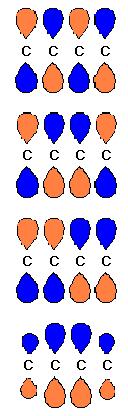 Energia Efeito da conjugação CLOA y 4* 1-2 + 1-2 y 4* 1-2 + 1-2 y 3* 1-2 -( 1-2 ) y 3* 1-2 - 1 + 2 y 4 1 + 2 -( 1 + 2 )