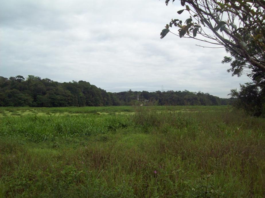 790.000 m² com profundidade máxima em torno de 7,69 m, e encontra-se nas terras do Utinga, pertencente à Companhia de Saneamento do Pará (COSANPA).