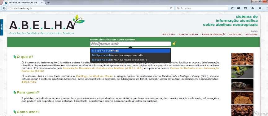 Explorando o sistema... abelha.cria.org.