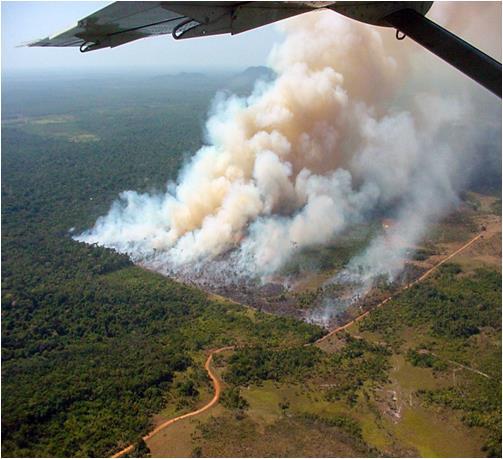 Assinatura das ações