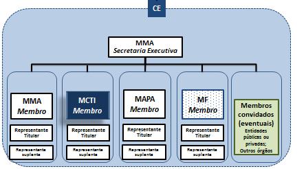 16 1 - Comitê Executivo Interministerial (CE) O primeiro, o Comitê Executivo Interministerial (CE), foi instituído pelo governo brasileiro para apoiar a execução do PI Brasil para o FIP.