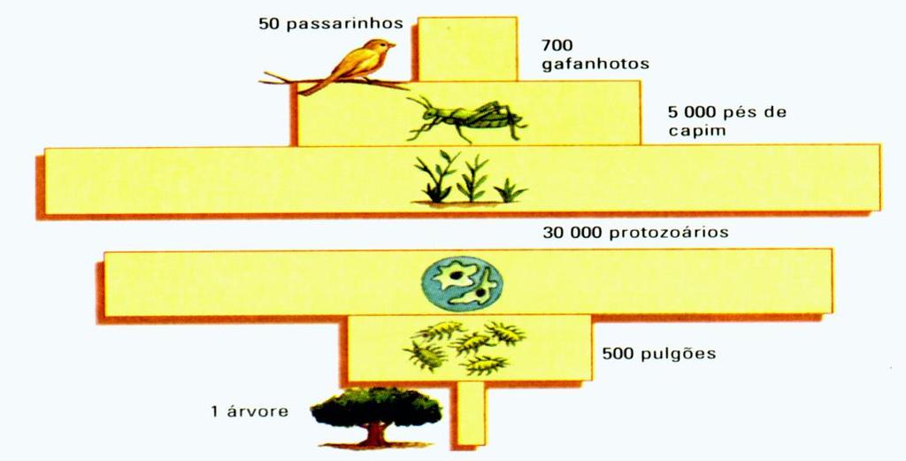 Números