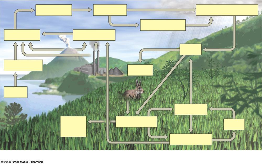 2 SO 4 Plants Dimethyl sulfide Volcano Industries Animals Ocean Metallic sulfide