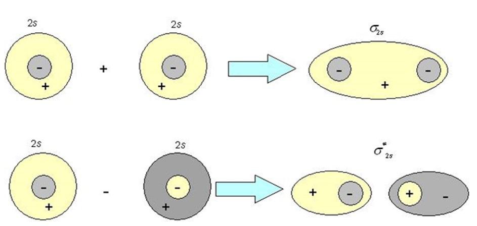 Aplicação da teoria do orbital molecular Aula 8 screver moléculas diatômicas homonucleares do segundo período da tabela periódica e assim por diante.