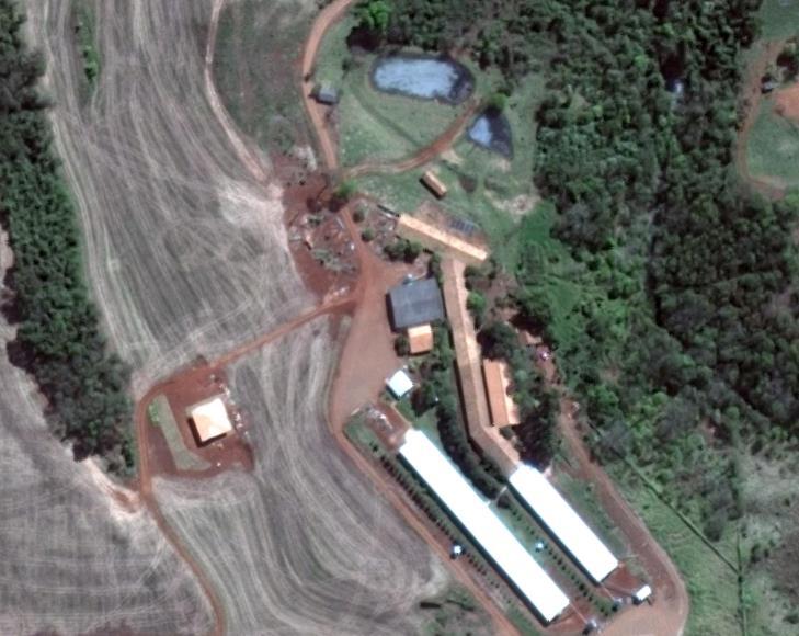 27 24 44'57.1"S 53 51'40.7"W. Uma vista aérea da propriedade pode ser vista na Figura 8. Figura 8: Propriedade onde o experimento foi realizado. Fonte: Google Maps.