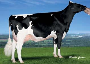 MS CHASSITY SUP CHARLEEN VG 86 Superstition x Regancrest S Chassity Ex 92