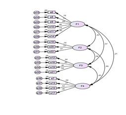 eferreira, M., Paulo, F., Duarte, J., & Sardo, D. (2016). Empoderamento dos enfermeiros: validação de um instrumento de medida. Millenium, 2(ed espec nº1), 347-357.