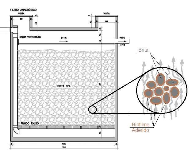 Filtro Biológico - Sobre a superfície do material de enchimento do filtro forma-se uma camada de biofilme (microrganismos aderidos) que remove (consome)
