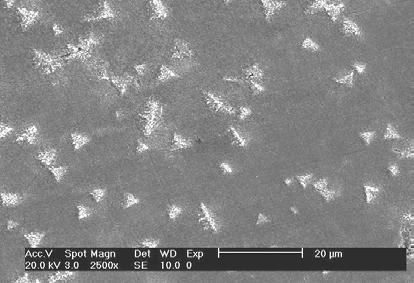 9: (a) e (b) Imagens de elétrons secundários obtidas por microscopia eletrônica de varredura, da superfície corroída da liga Cu10Ni, após