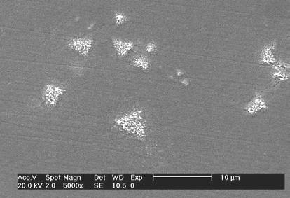 varredura, da superfície corroída da liga Cu10Ni-3Al, após ensaio de polarização