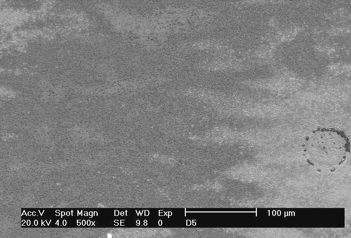 por microscopia eletrônica de varredura, da superfície corroída da liga