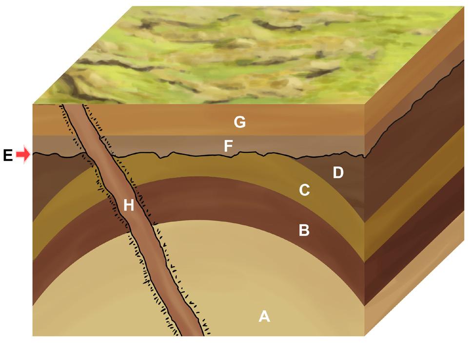 Licenciatura em Ciências USP/Univesp Módulo 2 247 um hiato no registro geológico da história de uma região; pode ser uma pausa no processo sedimentar de uma bacia, o intervalo temporal entre dois