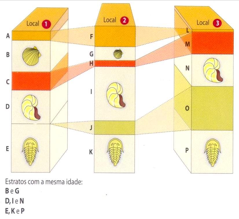DATAÇÃO RELATIVA Princípio da Identidade Paleontológica