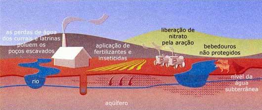 Poluição por contribuição de áreas agrícolas Cultivo para agricultura: geração de vários tipos de poluição; Menor