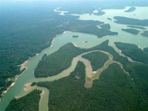 Cursos d água que recebem nomes regionais: Paranás-mirins (ou rios pequenos ): são braços de rio que contornam ilhas fluviais.