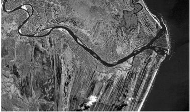 (ENEM) Até pouco tempo atrás, costumava-se afirmar que a foz dos rios brasileiros eram quase que exclusivamente em estuário. Apenas alguns rios nordestinos, como o Parnaíba, teriam foz em delta.