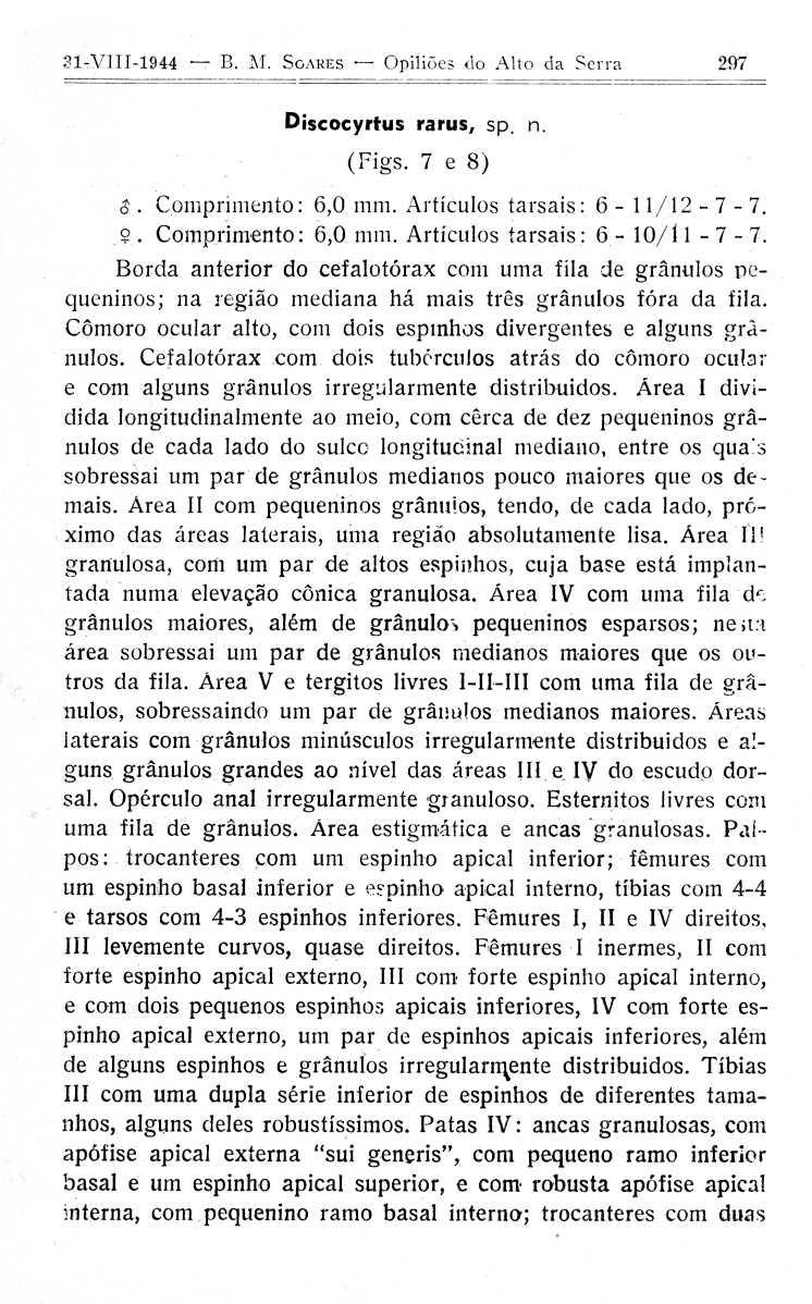 B. M. SGARES - Opili6es do Alto da Serra 29 7 Discocyrtus rarus, sp. n. (Figs. 7 e 8 ). Comprimento : 6,0 mm. Artículos tarsais : 6-11/12-7 - 7. ģ. Comprimento : 6,0 mm. Artículos tarsais : 6-10/11-7 - 7.