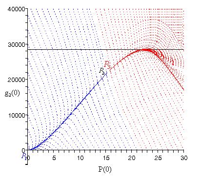 equilíbrio P1,P e P3, foi dado um zoom de [0,10] a [-4100, 40000], conforme mostrado na figura 5.. Figura 5.: Zoom mostrando as bacias de atração do espaço de fase P(0) e g (0) para α = 1 e k = 100 5.