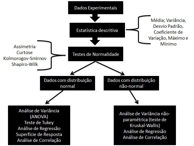 Análise Estatística Diagrama.