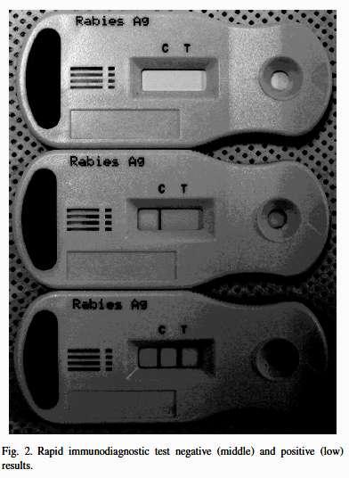 Detecção do Vírus da Raiva