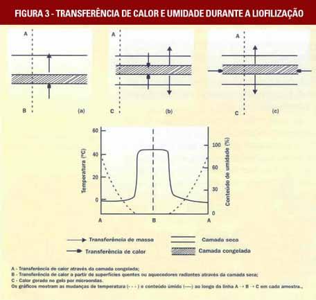 Reidratação Uma das características mais importantes dos produtos é a sua capacidade de reidratação rápida e completa.