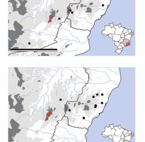 Symbols: circle = literature records (Appendix 2), square = records from sampling sectors of the Serra do Brigadeiro mountain, star = type-locality regarding on species distribution represented.