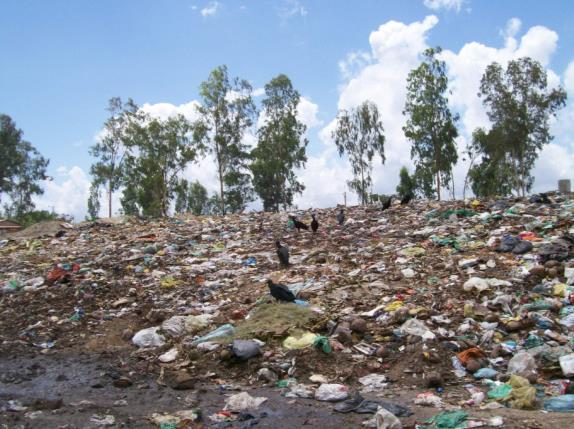 5 O aterro é composto de 34 trincheiras nas dimensões de 70 m x 40 m x 2 m (método da trincheira) e 70 m x 40 m x 6 m (método da superfície), correspondendo a um volume total de 761.600 m 3.