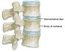 Rotação medial Rotação lateral Circundução Pronação Supinação