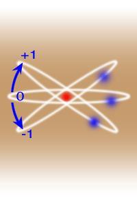 Número quântico magnético ( m ) Embora os electrões não sigam órbitas bem definidas como no modelo de Bohr, verifica-se que existe um momento angular orbital quântico que é quantizado para todos os