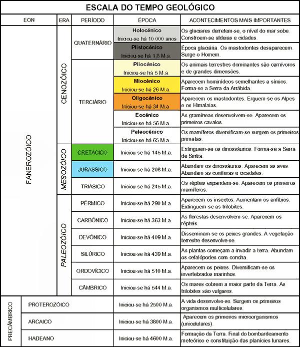 FIM 6