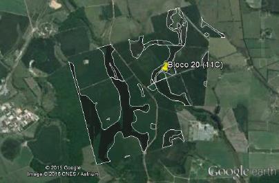 11C (Bloco 20) Localizada no município de Teixeira de Freitas/BA, com uma área total de fragmento nativo de 219,00 hectares, conforme marcação na Figura 14.