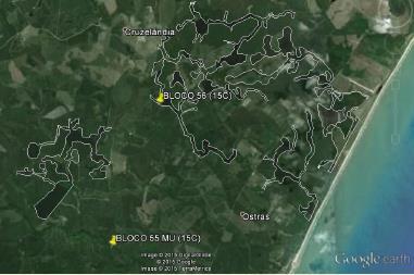 15C (Bloco 56) Localizada no município de Mucuri/BA, com uma área total de fragmento nativo de 1.195,14 hectares, conforme marcação na Figura 17.