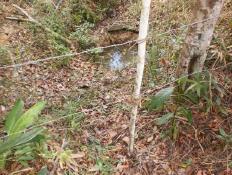 CAMURUJI Situada no município de Mucuri/BA, passou por estudo de reavaliação de Áreas de Alto de Conservação, devido a presença de uma cacimba (Figura 25) na comunidade.