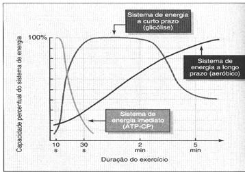 Treinamento aeróbio x intensidade Intensidade do treinamento e lactato sanguíneo Além do volume, a intensidade é que determinará o grau de adaptação ao treinamento.