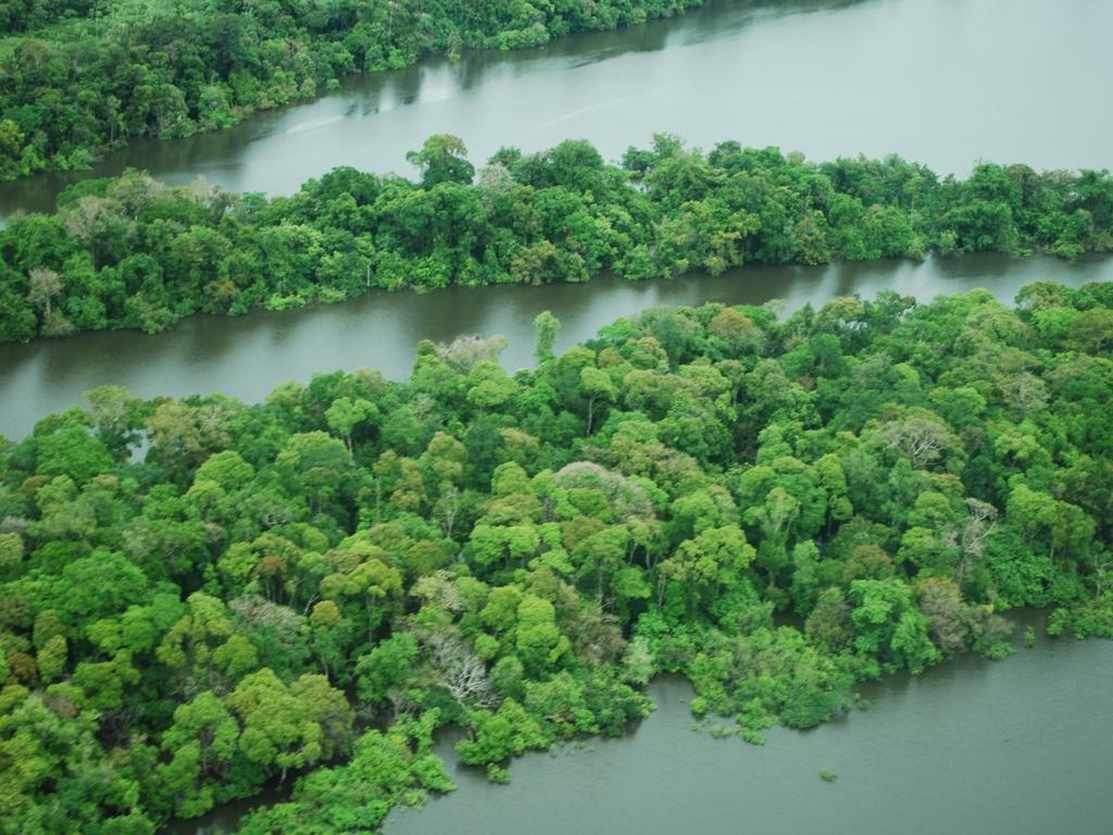 Impacto das mudanças climáticas nos recursos hídricos da Amazônia Prof.