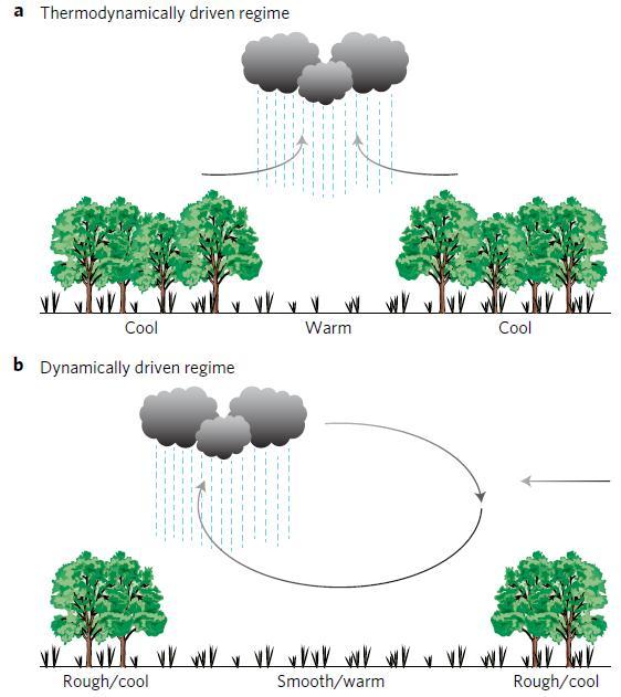 Transição no regime convectivo dominante com escalas crescentes de desmatamento KHANA et al.