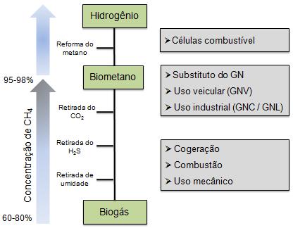 Subproduto: Biogás Vantagens energéticas: Fonte renovável Apto para geração distribuída Armazenável (horário de ponta) Versátil no uso (térmico / elétrico / veicular) Vantagens