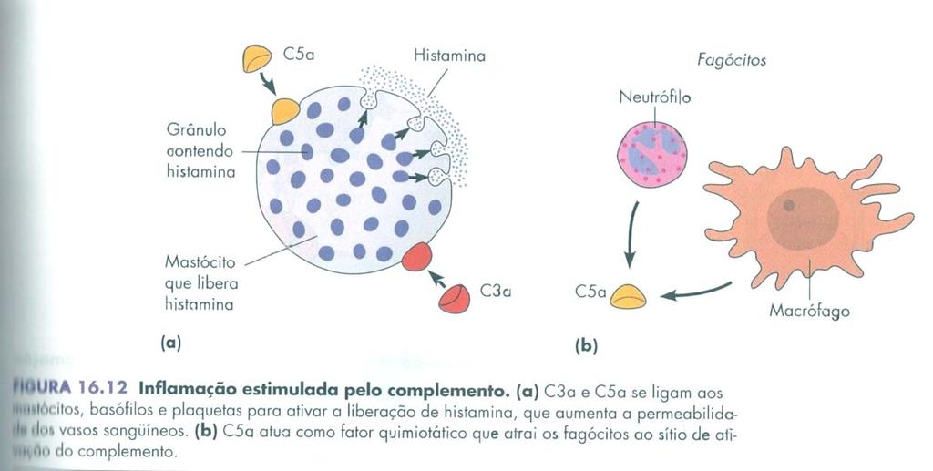 EVENTOS HUMORAIS Via Alternativa do