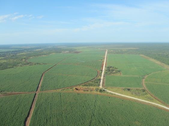 sementes, fertilizantes e outros