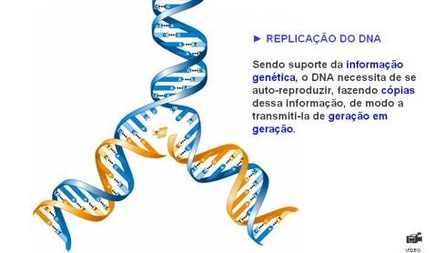 Replicação semiconservativa do DNA http://www.johnkyrk.