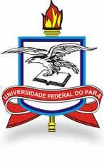 UNIVERSIDADE FEDERAL DO PARÁ COMISSÃO PRÓPRIA DE AVALIAÇÃO ORIENTAÇÕES PARA A AVALIAÇÃO IN LOCO Este documento visa orientar os gestores (Direção de Instituto, Coordenação de Campus, Direção de